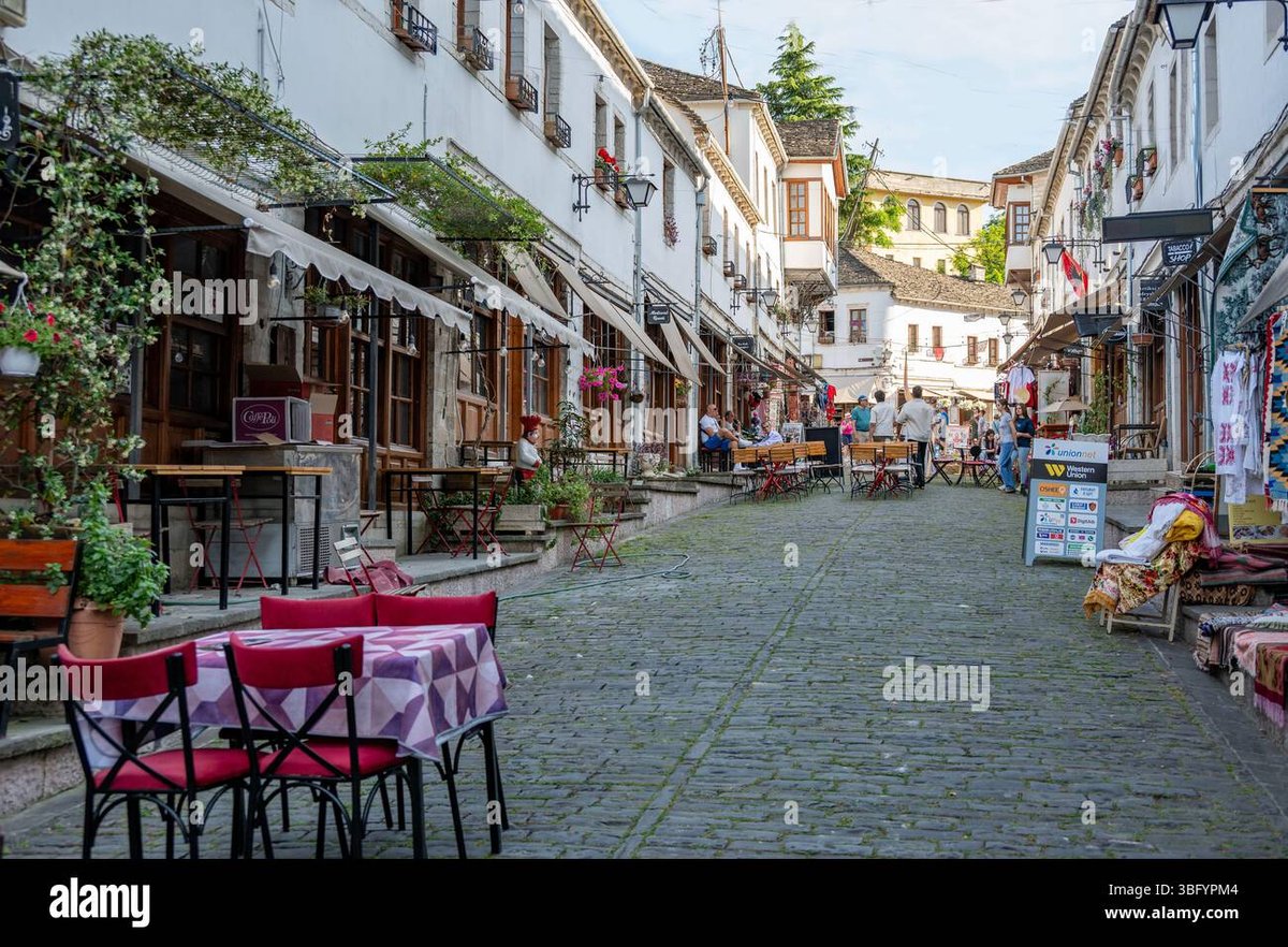 How Old Is Nico Robin in Dandadans Unexpected Appearance?